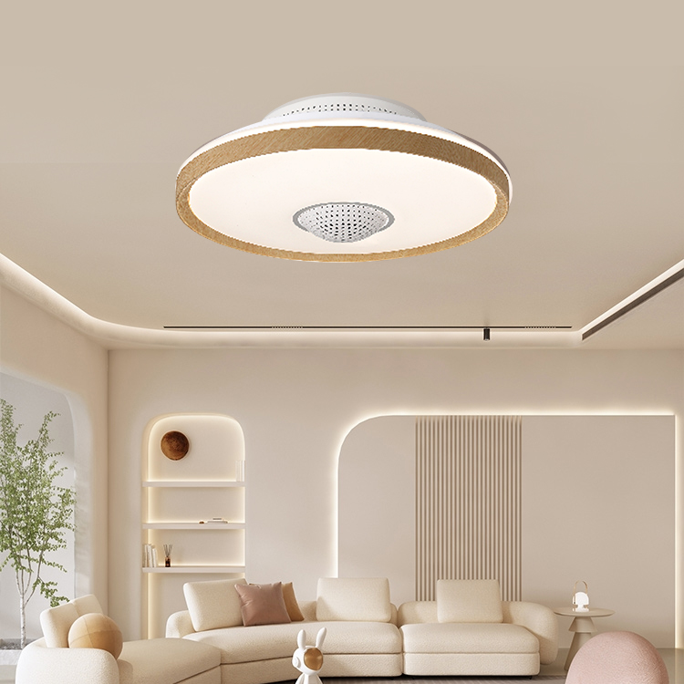 Ceiling Fans