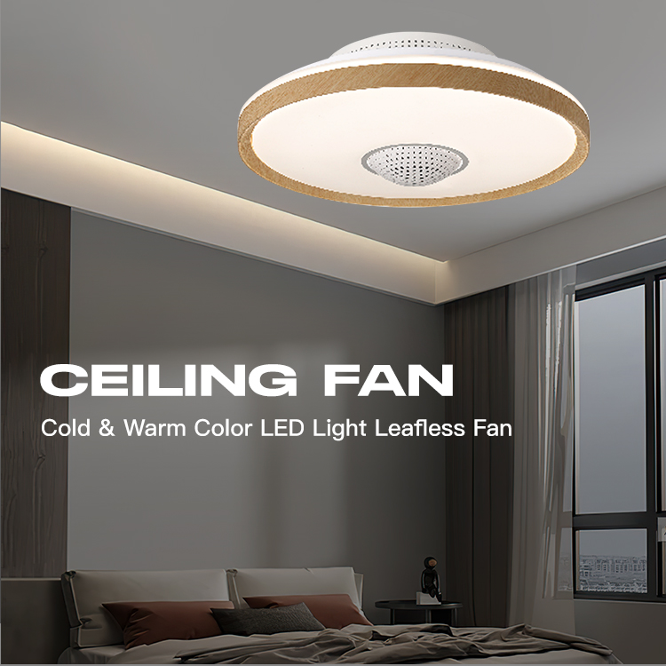 Ceiling Fans