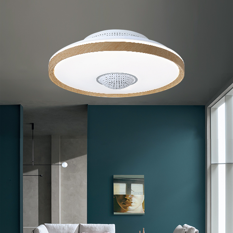 Ceiling Fans
